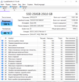 SATA SSD Goldenfir 250GB S3-178